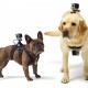 GoPro Inc Fetch Dog Mount
