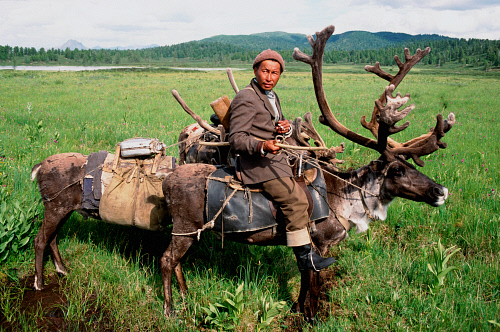 Tuva deer riding