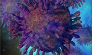Hepatitis C Virus  (picture: Bryan Brandenburg)