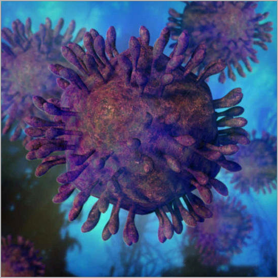 Hepatitis C Virus  (picture: Bryan Brandenburg)
