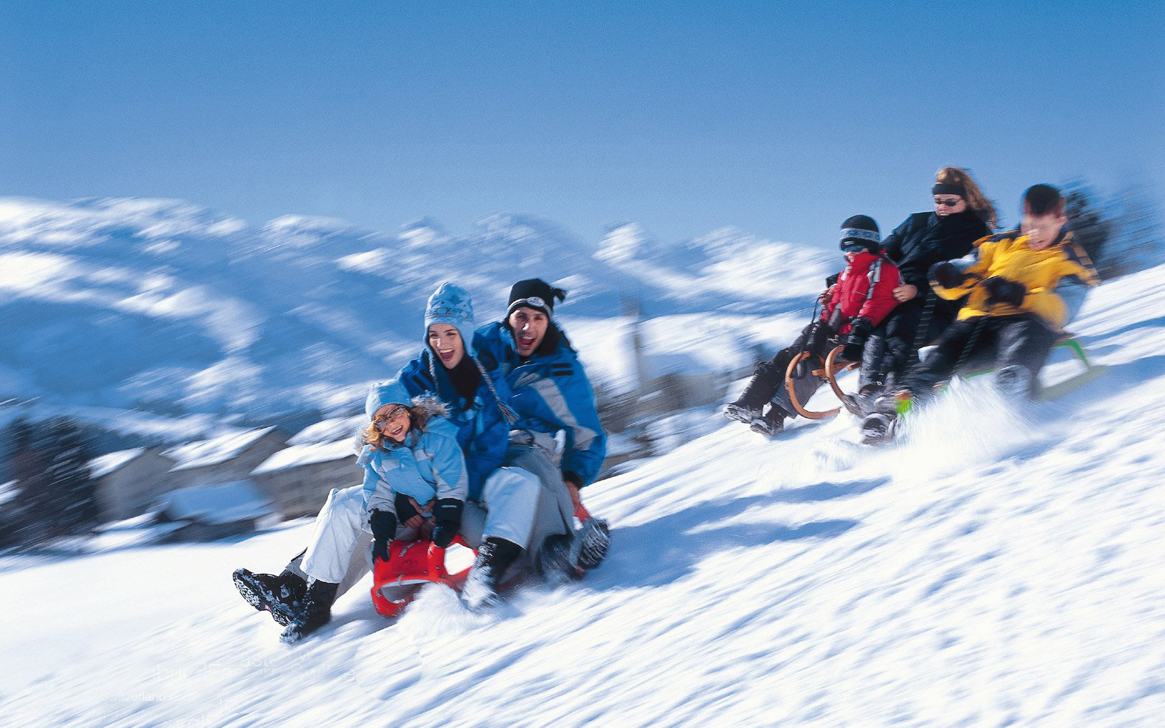 sled family fun