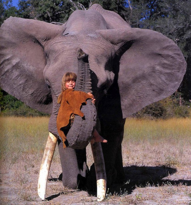 Tippi Degre playing with elephant