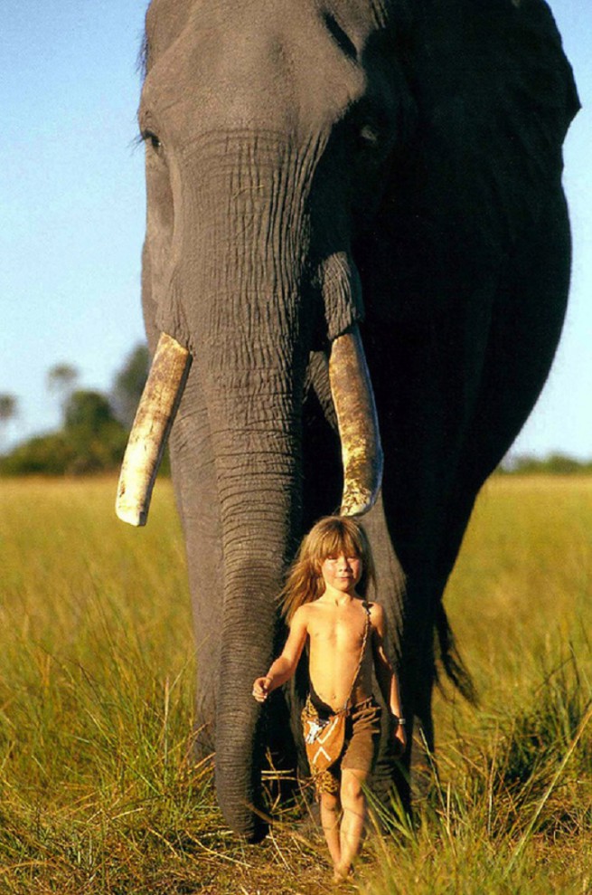 Tippi Degre with elephant