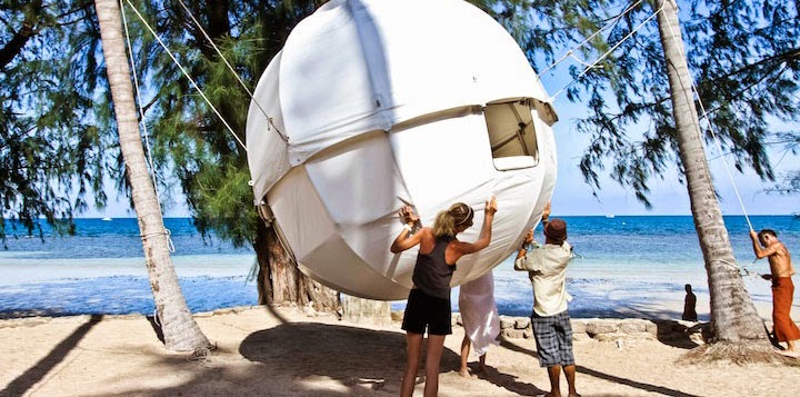 Cocoon tree dream tent