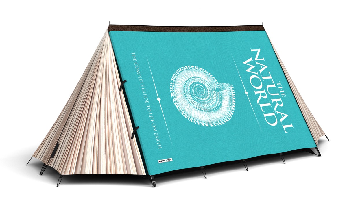 Creative designed tent Book tent