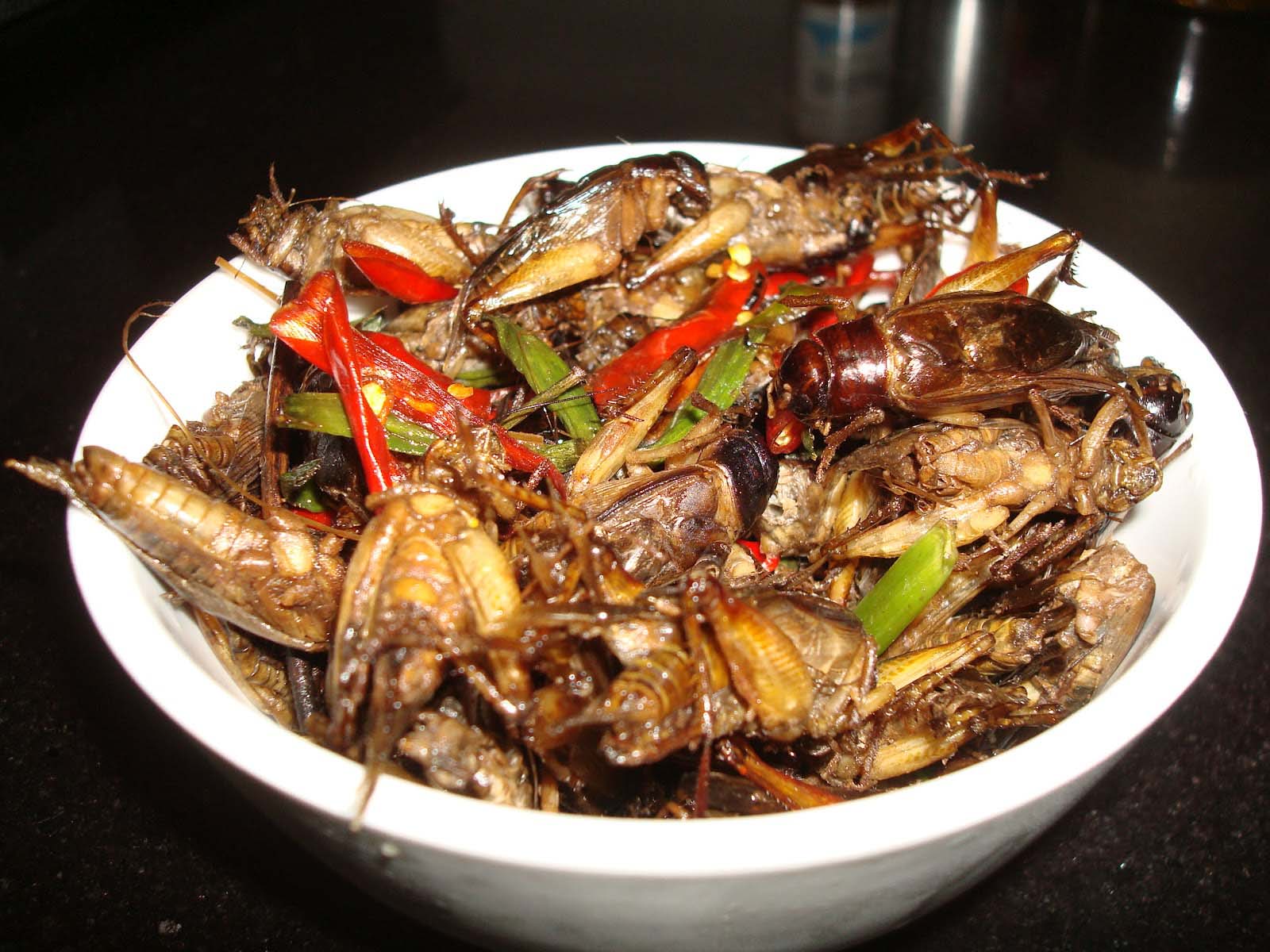 Fried water beetles 2