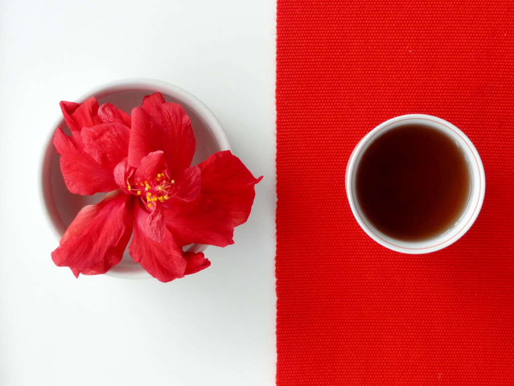 Hibiscus tea in cup