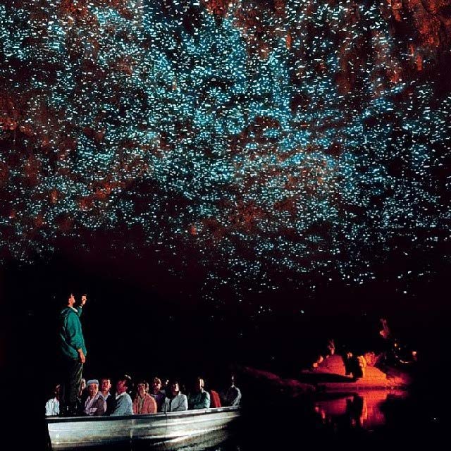 The illuminated caves Waitomo people in boat