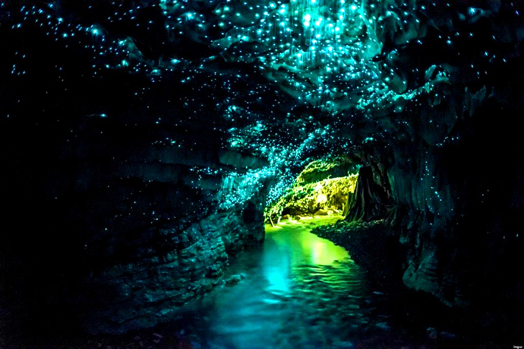 The illuminated caves waitomo lights