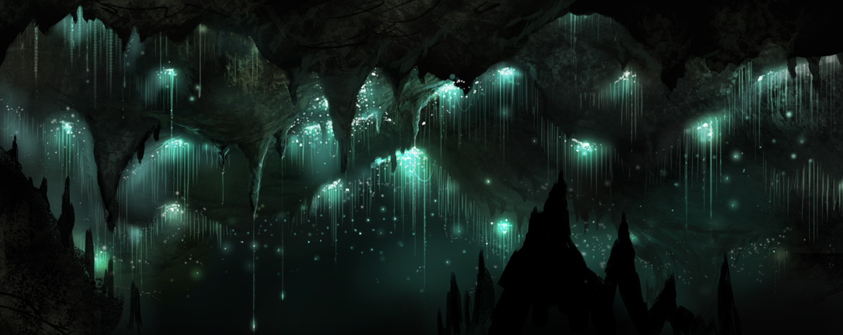 The illuminated caves waitomo 3