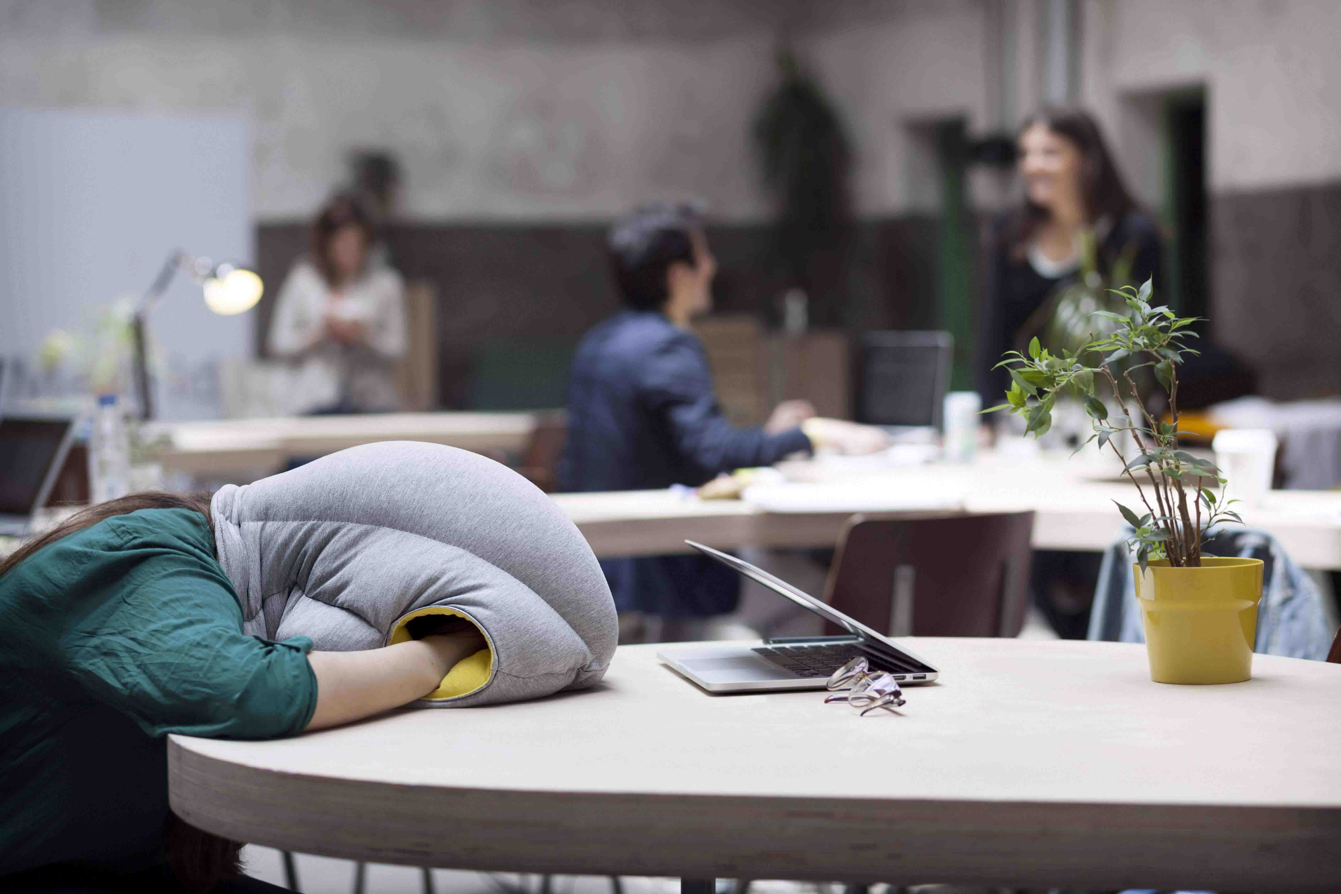 OSTRICH PILLOW girl sleeping on her desk