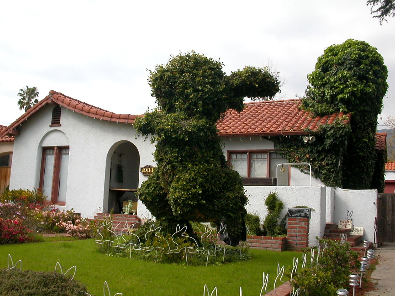 The bunny museum front bunny bush