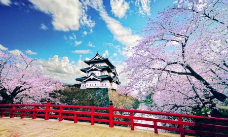 Hirosaki Castle bridge with cherry blossoms