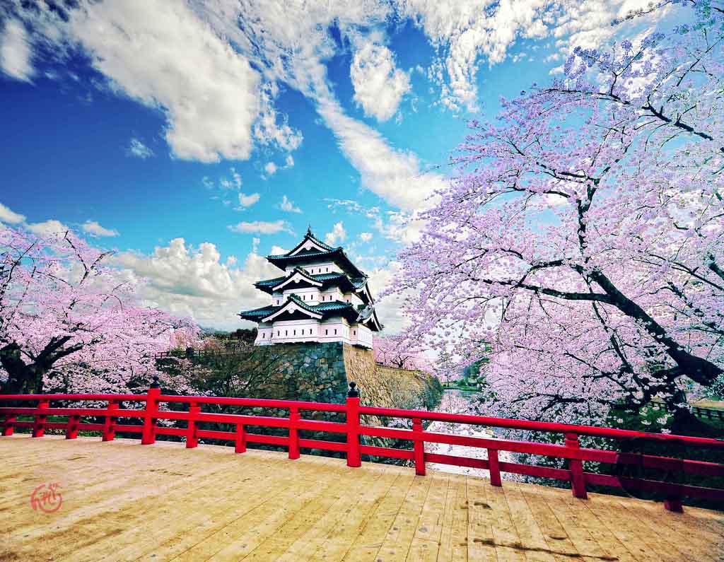 Hirosaki Castle bridge with cherry blossoms