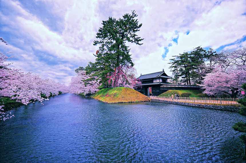 Castle Moat in Spring cherry blossoms trees