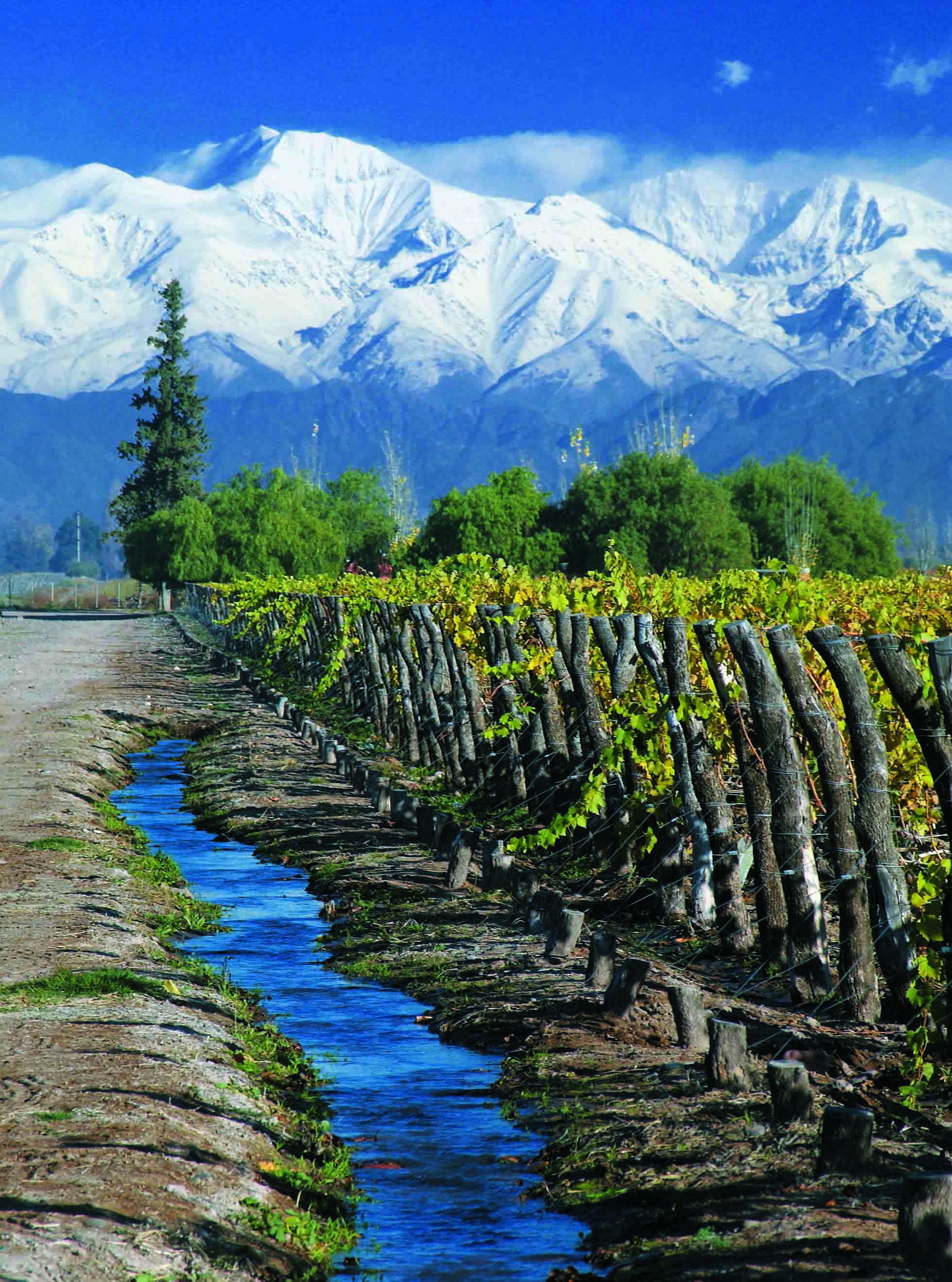 Mendoza Province, Argentina vineyard with river and mountain