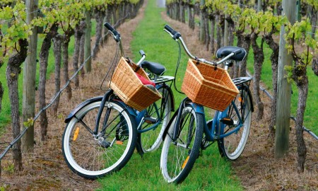 Sonoma County, California bike tour among vineyards