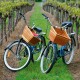 Sonoma County, California bike tour among vineyards