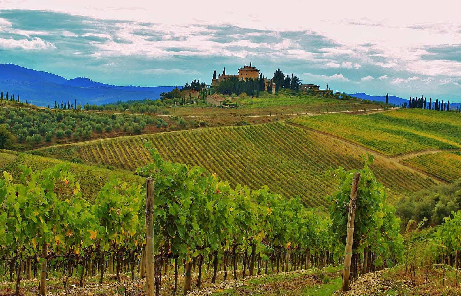 Tuscany Italy Vineyards