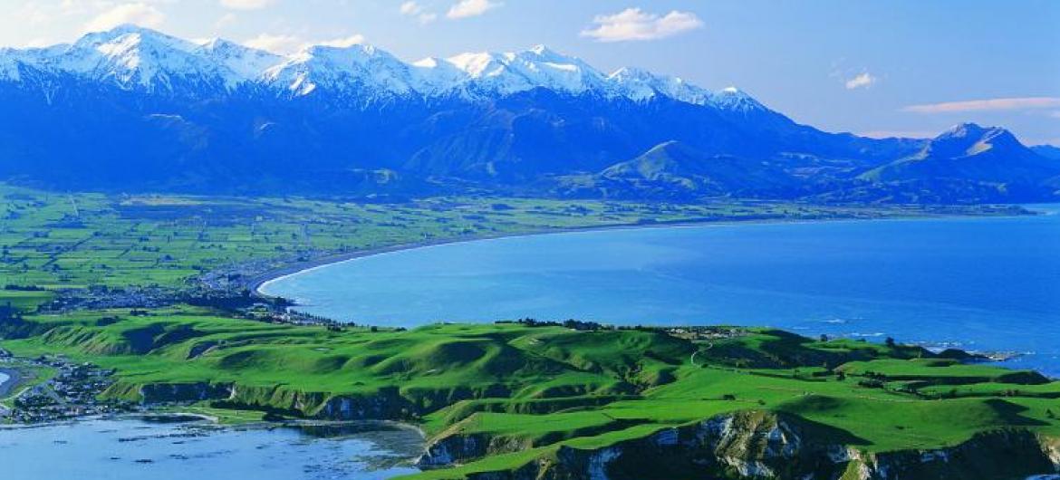 whale watching on Kalikoura, New Zealand