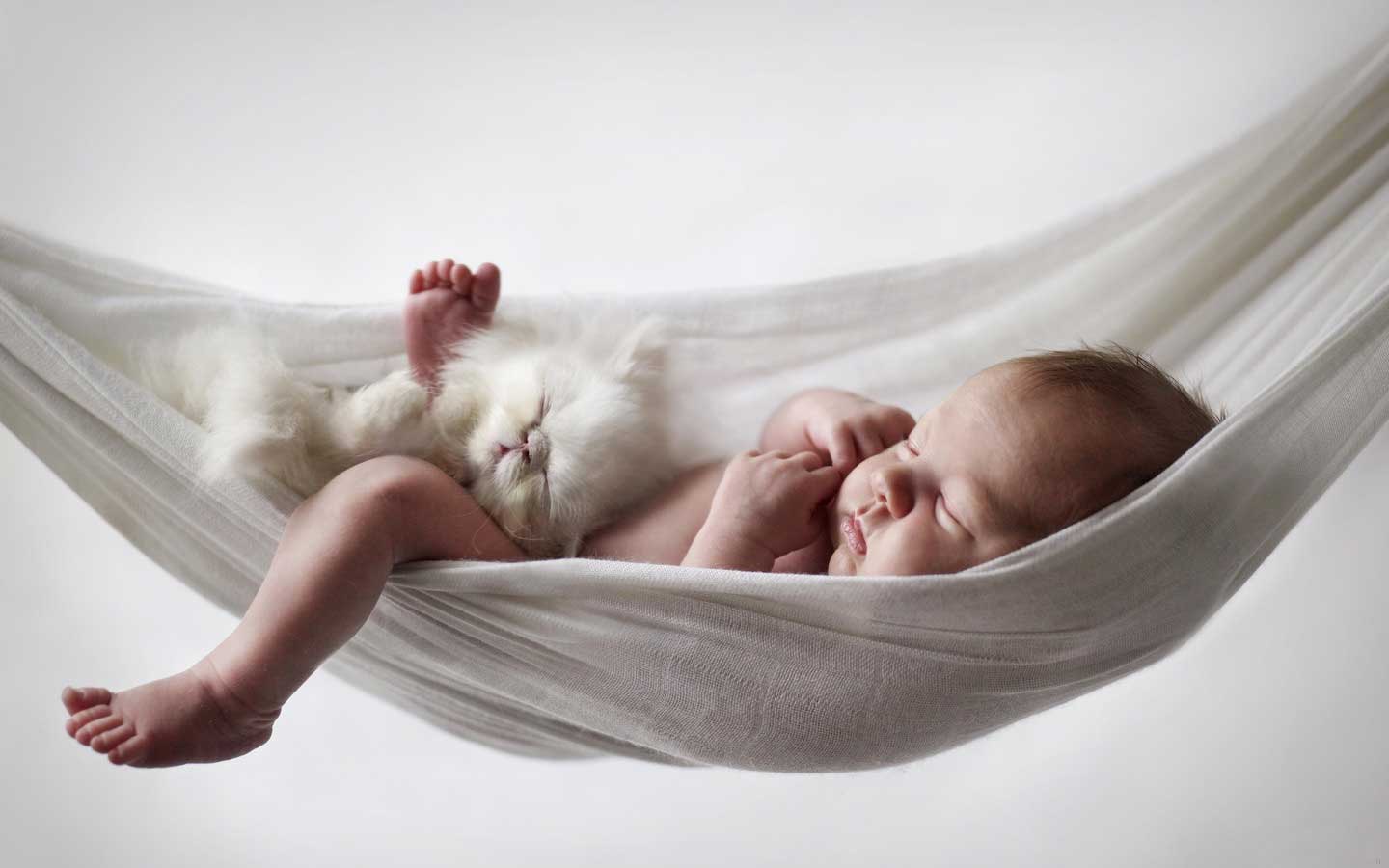 sleeping-baby-and-cat-on-a-hammock