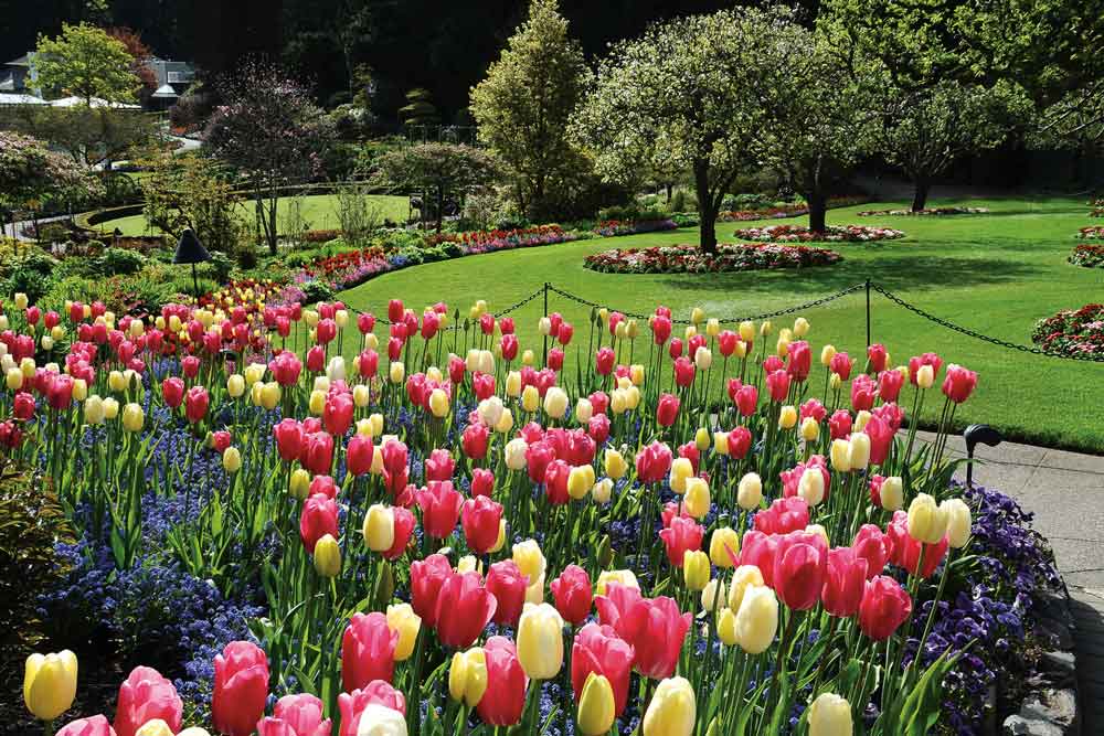 Butchart-Gardens,-Canada-2