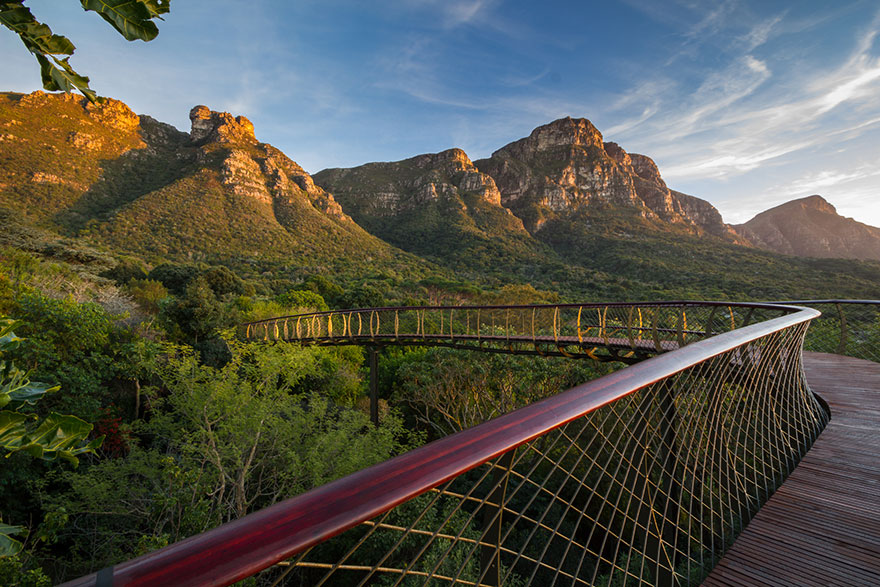 Kirstenbosch National Botanical Garden 2