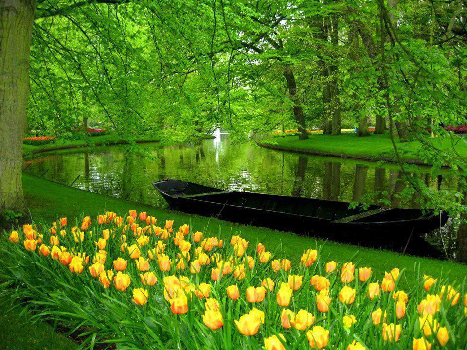 The Garden Keukenhof, Netherlands