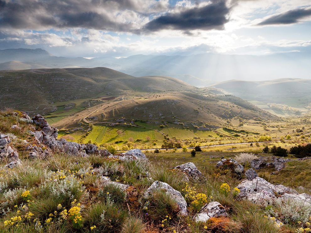 wildflowers-mountain-italy Abruzzo National Park