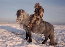 Verkhoyansk, Russia, man on horse, wintertime