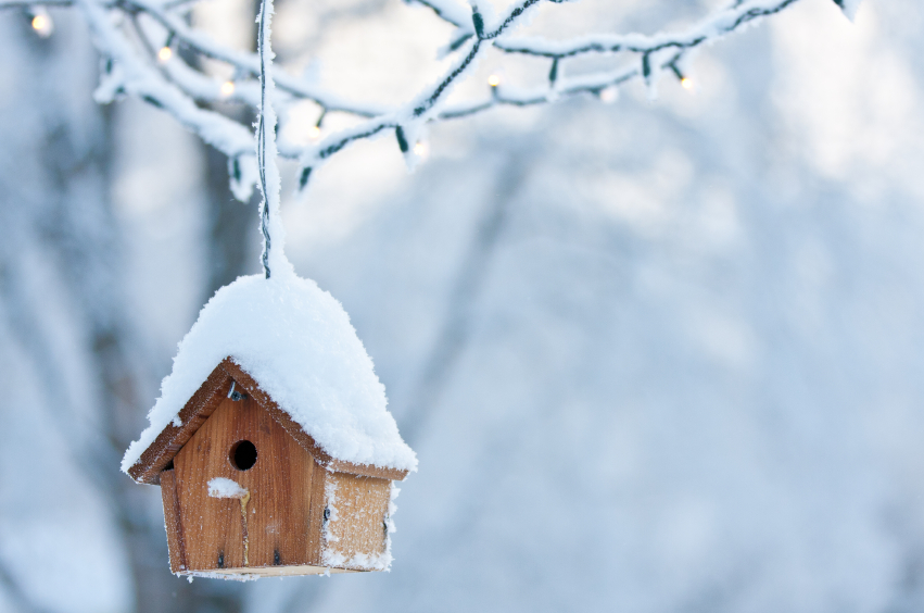 Snow covered bird house hanging