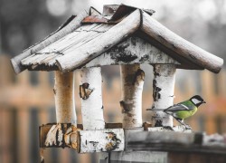 handmade-diy-wooden-bird-houses