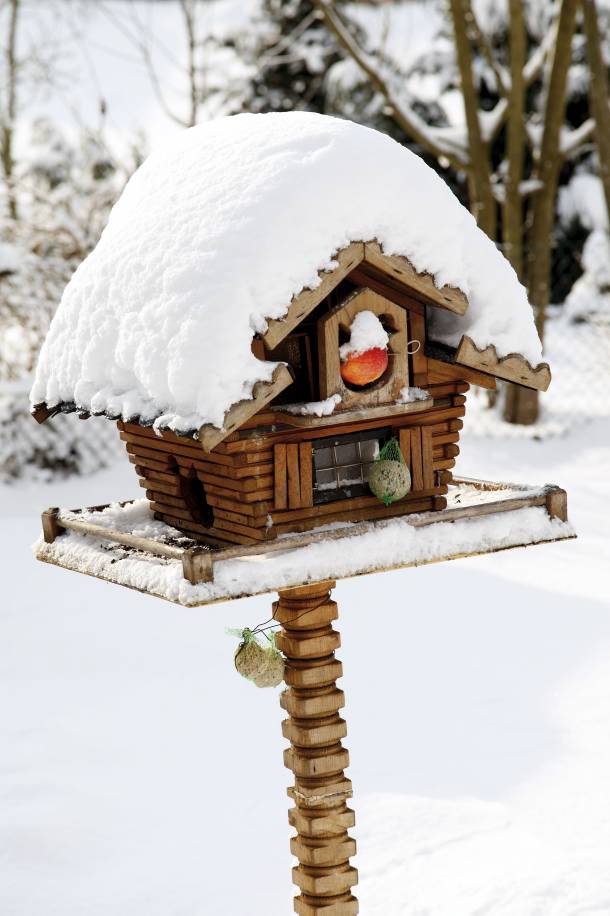 small-chaffinch-bird-houses