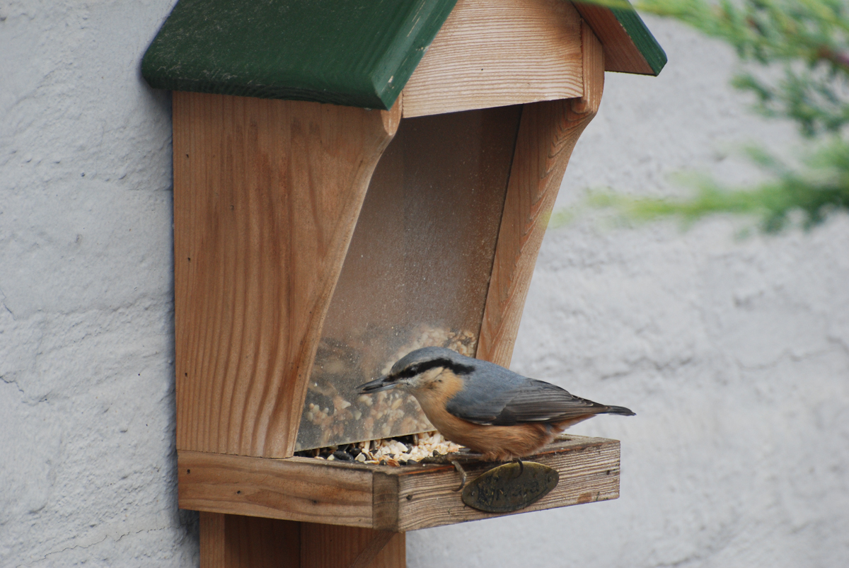 the-nuthatch-bird-feeder