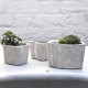 concrete-bucket-planter-flower-heart-succulent-planters