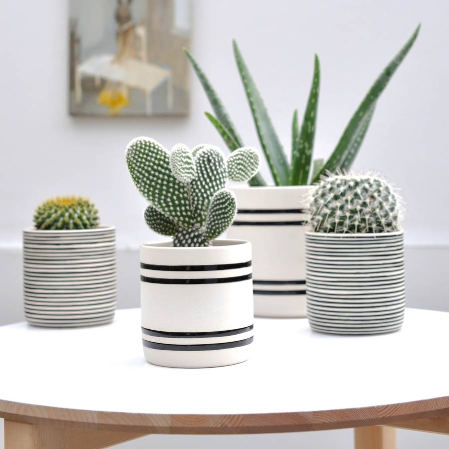 Plants Pot Indoor And Outdoor - PRETEND Magazine