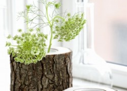 vase-from-a-small-tree-trunk-modern-vases-diy-ideas