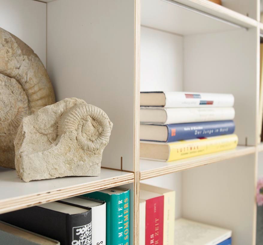 f-the-bookshelf-in-all-versions