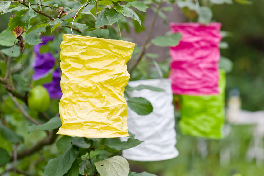 Paper handmade colorful lamps yellow pink green garden Paper lantern