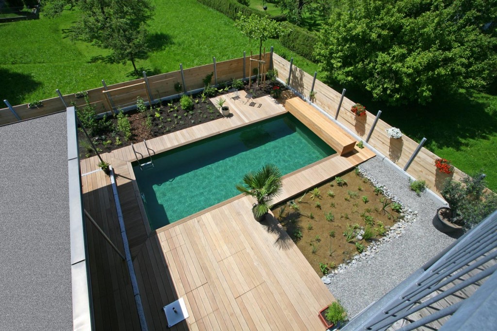 Garden plants landscaping Pool in the garden, green plants