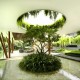 Wall greening in the dream garden landscape in the minimalist style