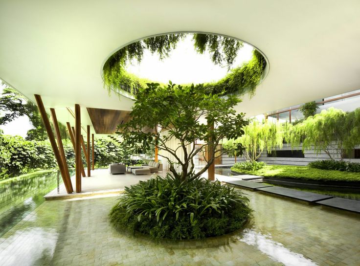 Wall greening in the dream garden landscape in the minimalist style