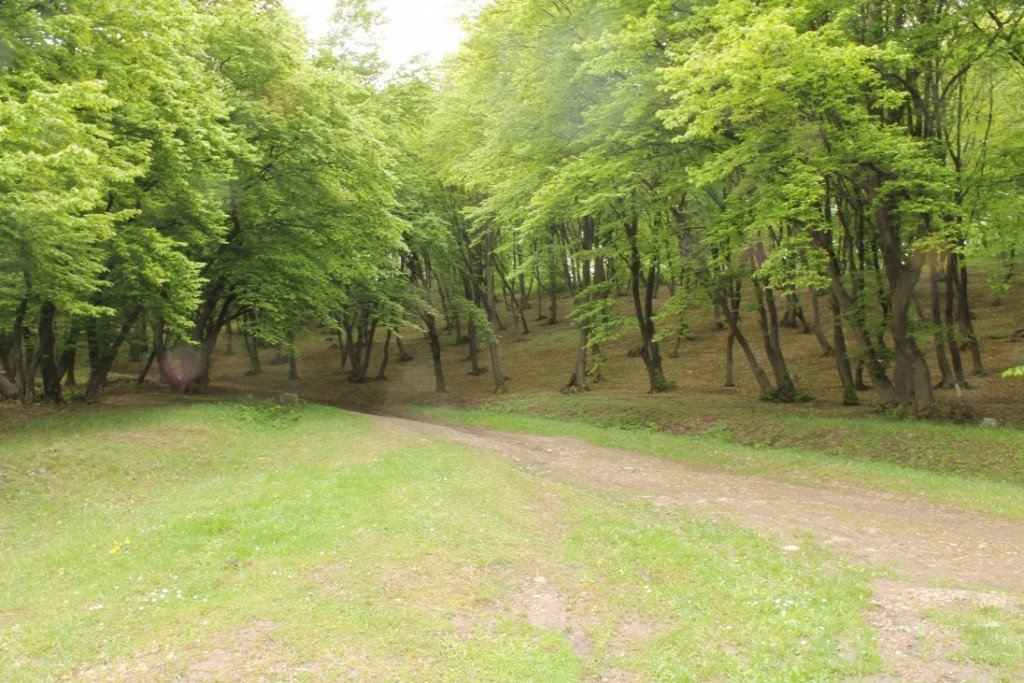 Bermuda Triangle of Transylvania Mist In the air