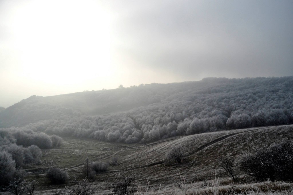 Bermuda Triangle of Transylvania sunrise mist foxy Romania