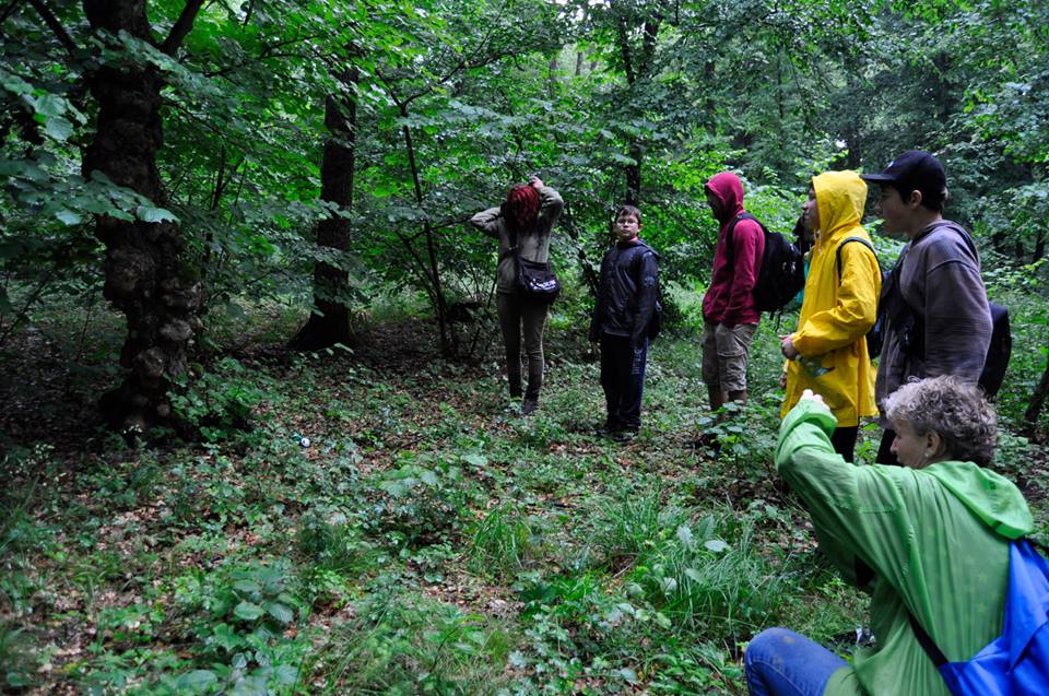 Discovering Hoia Baciu Forest Romania hoia-baciu-project-vineri