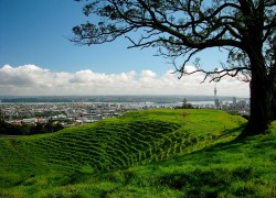 Mount Eden Auckland Heritage Festival Green Village People City View Grass