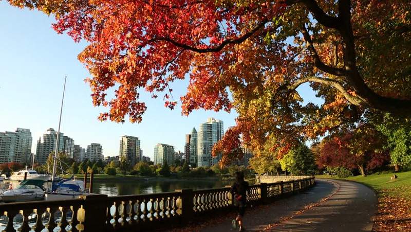 Canada,-Vancouver-fall-landscape-stanley-park,-autumn-seawall-an-early-morning-jogger-downtown