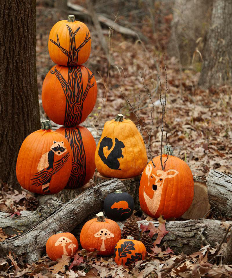 Alternative-Halloween-Pumpkins-Animals-Halloween-lights-outside-halloween-decorations-diy-halloween-decorations-best-halloween-decorations--halloween-yard-decorations-vintage-halloween-decorations
