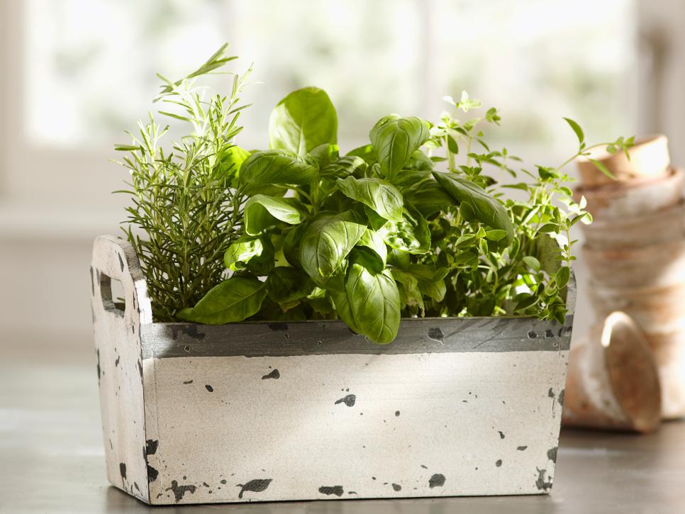 Indoor Herbs Garden Ideas Pretend Magazine