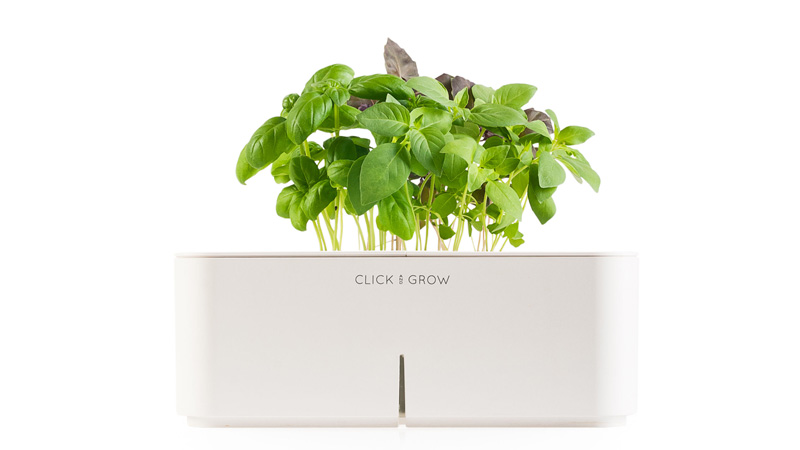 Click-and-Grow-Herbs-INdoor-growing-herbs-indoors-herb-garden-window-herb-garden-kitchen-herb-garden-growing-herbs-herb-planter-indoor